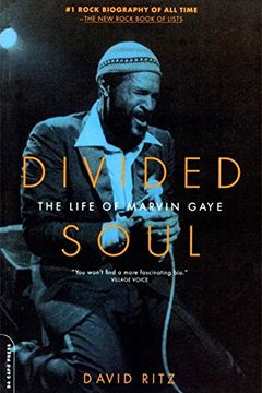 Divided Soul book cover