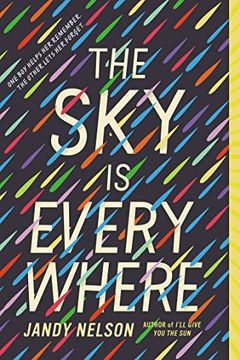 The Sky Is Everywhere book cover