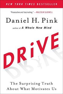 Drive book cover