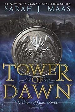 Tower of Dawn book cover