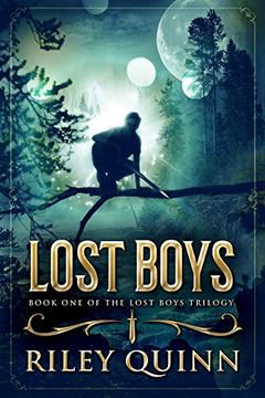 Lost Boys (Lost Boys, #1) book cover