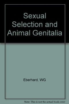 Sexual Selection And Animal Genitalia