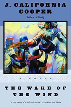 The Wake of the Wind book cover