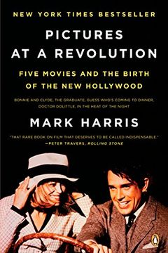 Pictures at a Revolution book cover