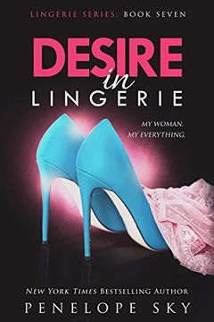 Desire in Lingerie book cover