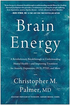 Brain Energy book cover