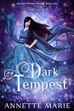 Dark Tempest book cover