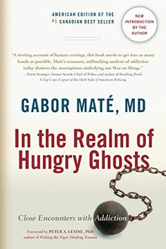 In the Realm of Hungry Ghosts book cover
