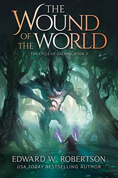 The Wound of the World book cover