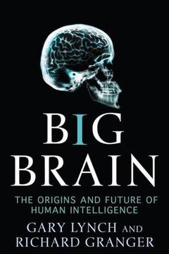 Big Brain book cover