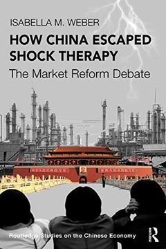 How China Escaped Shock Therapy book cover