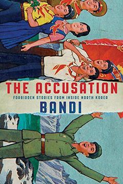 The Accusation book cover