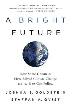 A Bright Future book cover