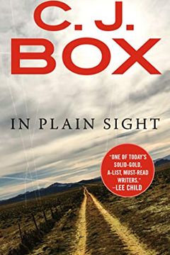 In Plain Sight book cover