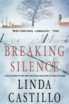 Breaking Silence book cover