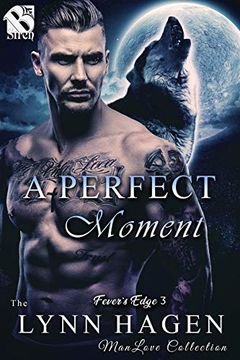 A Perfect Moment book cover