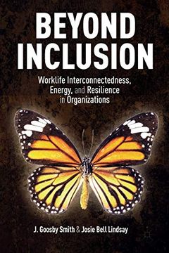 Beyond Inclusion book cover