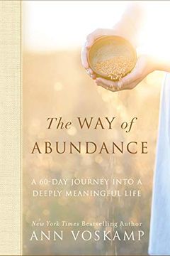 The Way of Abundance book cover