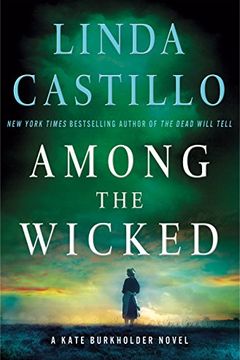 Among the Wicked book cover