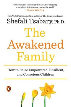The Awakened Family book cover