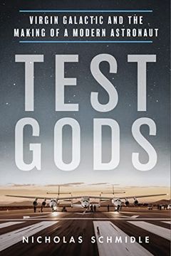 Test Gods book cover