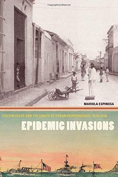 Epidemic Invasions book cover