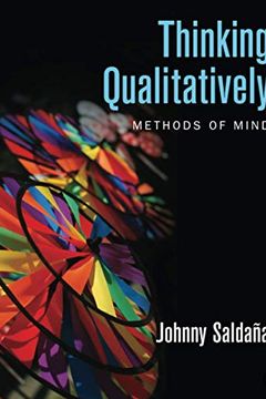 Thinking Qualitatively book cover