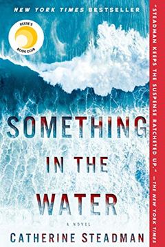 Something in the Water book cover