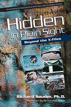 Hidden in Plain Sight book cover