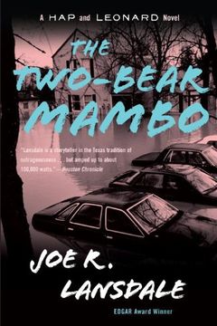 The Two-Bear Mambo book cover