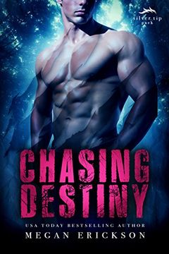 Chasing Destiny book cover