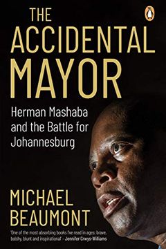 The Accidental Mayor book cover