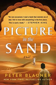 Picture in the Sand book cover