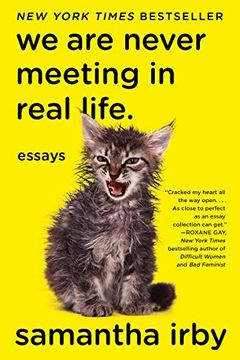 We Are Never Meeting in Real Life. book cover
