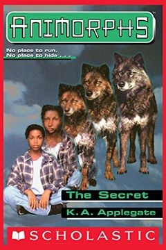 The Secret book cover