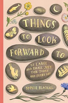 Things to Look Forward To book cover