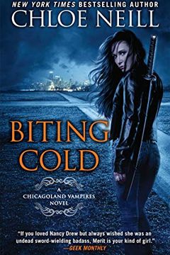 Biting Cold book cover