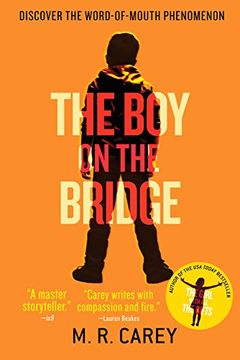 The Boy on the Bridge book cover