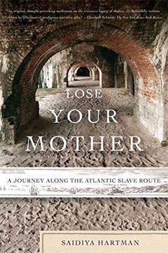 Lose Your Mother book cover