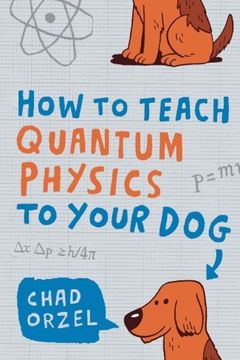 How to Teach Quantum Physics to Your Dog book cover