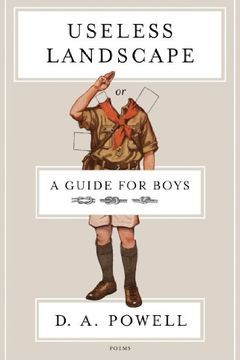 Useless Landscape, or A Guide for Boys book cover