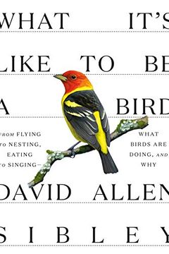 What It's Like to Be a Bird book cover