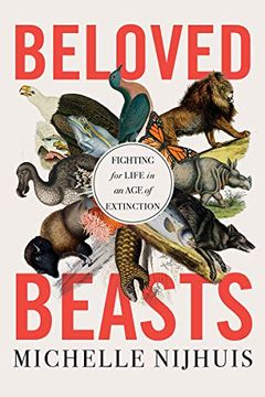 Beloved Beasts book cover