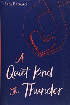 A Quiet Kind of Thunder book cover
