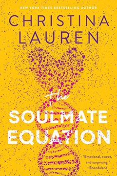 The Soulmate Equation book cover