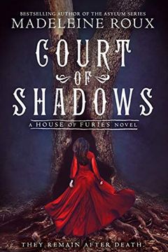 Court of Shadows book cover