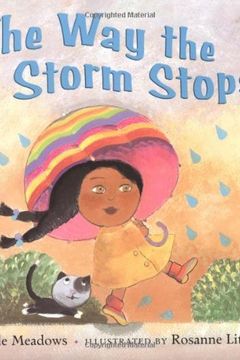 The Way the Storm Stops book cover