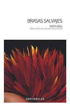 BRASAS SALVAJES book cover