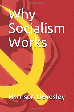 Why Socialism Works book cover