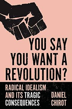 You Say You Want a Revolution book cover